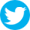 Share via Twitter